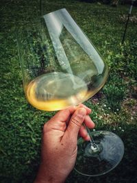 Close-up of hand holding wine glass