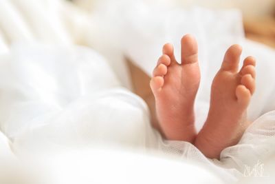 Low section of baby sleeping on bed