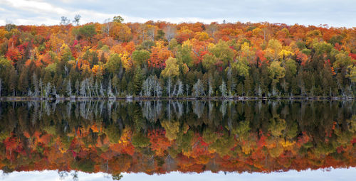 Scenic view of lake during autumn
