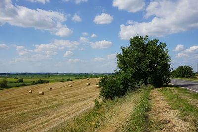 Scenic view of agricultural field against sky