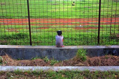 grass