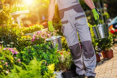 Rear view of man working on potted plant