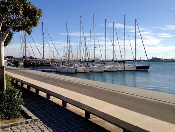 Sailboats moored in harbor