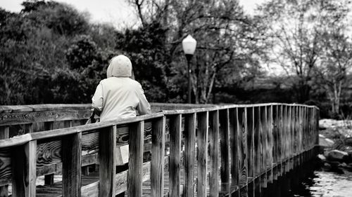 View of trees in water