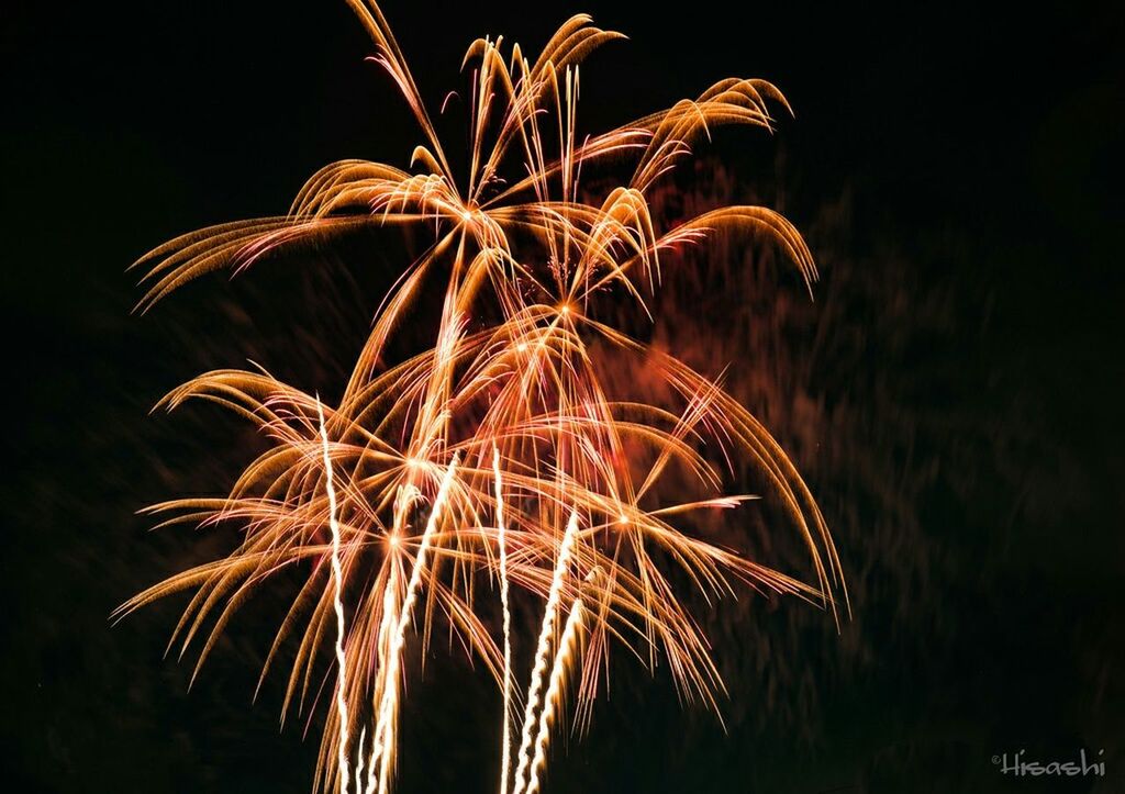 LOW ANGLE VIEW OF ILLUMINATED FIREWORK DISPLAY AT NIGHT