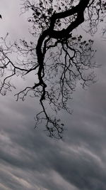 Low angle view of bare trees against sky