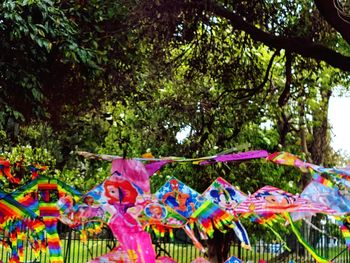 Low angle view of multi colored plants hanging in park