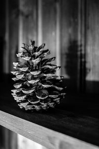Close-up of pine cone on table