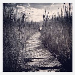 Road passing through landscape