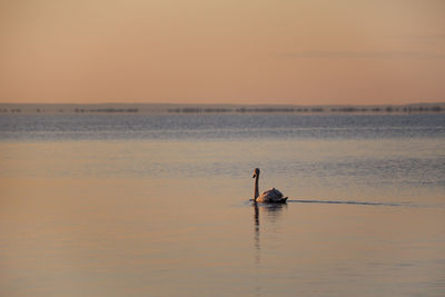 Man on sea against sky during sunset