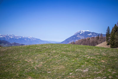 Scenic view of field against clear blue sky