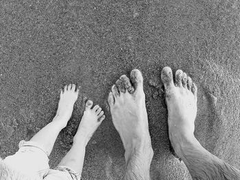 Low section of people on sand