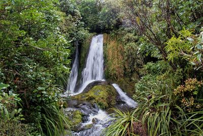 Scenic view of waterfall in forest