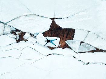 Directly above shot of man lying on ice formation