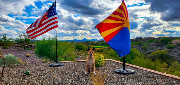 View of flags and flag against sky