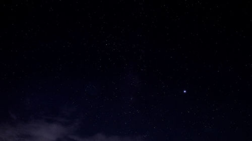 Low angle view of star field against sky at night
