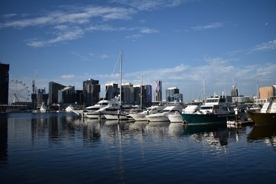 Boats moored at harbor