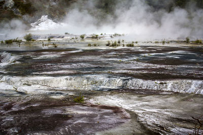 Geothermal activity, terrace and steam rising. orakei korako park, new zealand