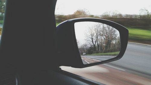 Reflection of trees in side-view mirror