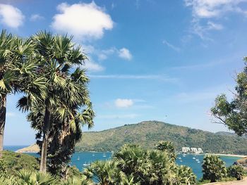 Palm trees by sea against blue sky