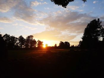 Silhouette trees on field against sky at sunset