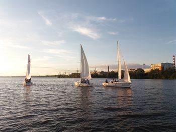 Sailboats sailing on sea against sky