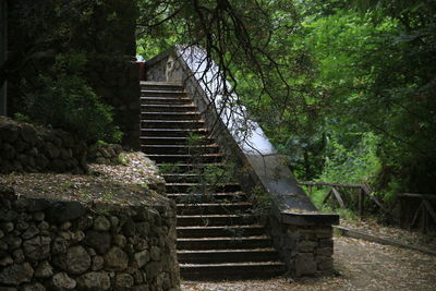 Staircase amidst trees in forest