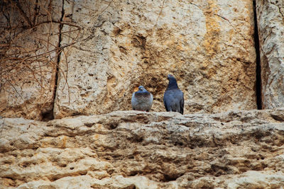 Two men sitting on rock