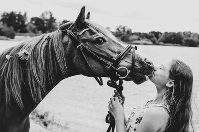 Portrait of horse in ranch