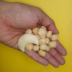 Close-up of hand holding bread