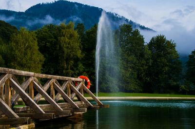 Scenic view of waterfall in forest