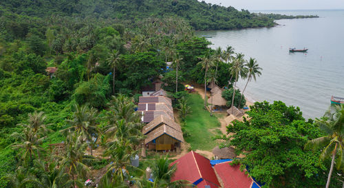 High angle view of trees and buildings by sea