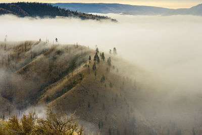 Sunrise in the mountains with clouds in the valley