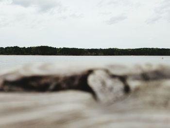 Scenic view of beach