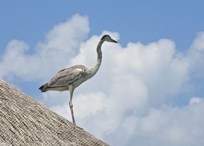 Low angle view of crane on roof against cloudy sky