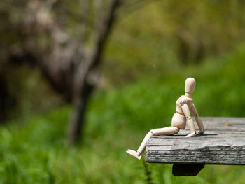 Wooden bench on field against trees