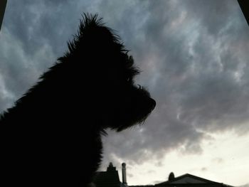 Low angle view of cloudy sky