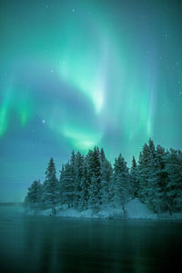 Scenic view of lake by trees during aurora borealis