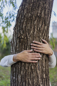 Cropped hand of woman hugging tree trunk