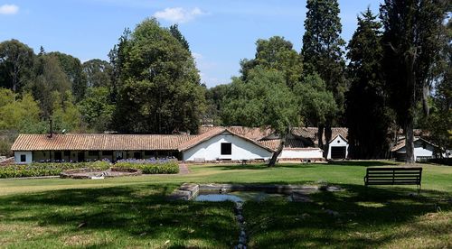 Trees and plants growing on field by building against sky