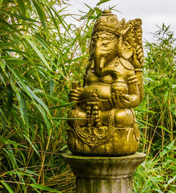 Close-up of statue against plants
