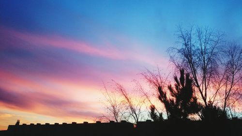 Silhouette of trees at sunset