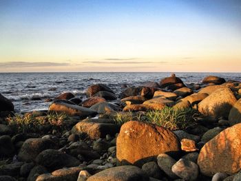 Rocks at sea shore against clear sky