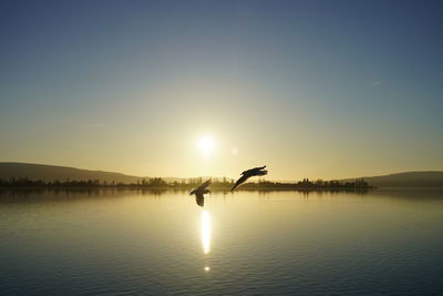 Silhouette flying over lake against sky during sunset