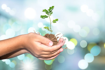 Midsection of person holding plant