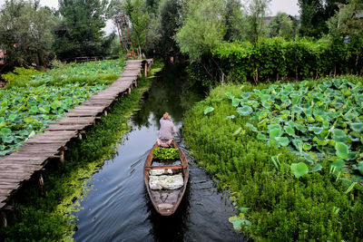 Rear view of man on boat sailing in canal