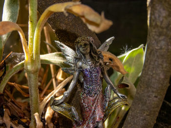 Close-up of dragonfly on plant