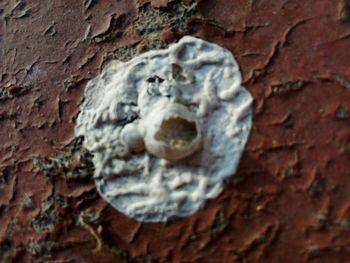 Full frame shot of weathered wall