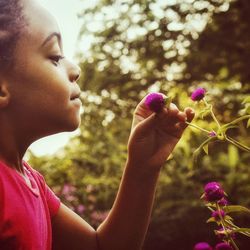 Close-up of girl smelling pink flower