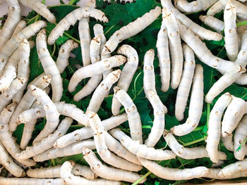 Full frame shot of fresh vegetables in market